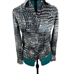 Carlisle blue/tan silk blouse size 4